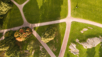 Green fields